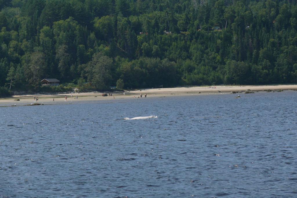 Riviere Petit Saguenay Villa Eksteriør bilde